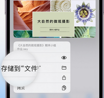 秀英apple维修中心分享iPhone文件应用中存储和找到下载文件