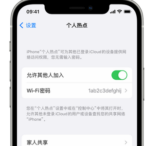 秀英apple服务站点分享iPhone上个人热点丢失了怎么办 