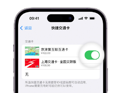 秀英apple维修点分享iPhone上更换Apple Pay快捷交通卡手绘卡面 