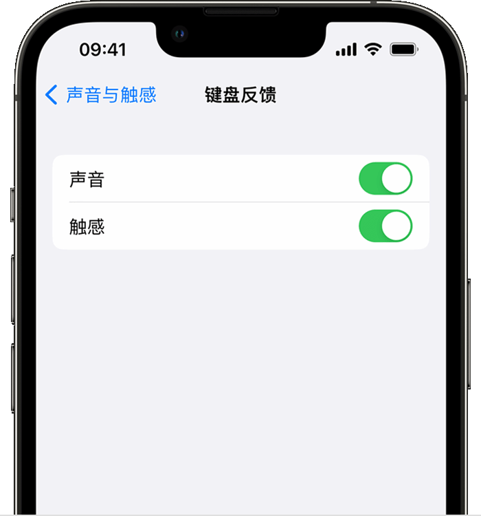 秀英苹果14维修店分享如何在 iPhone 14 机型中使用触感键盘 