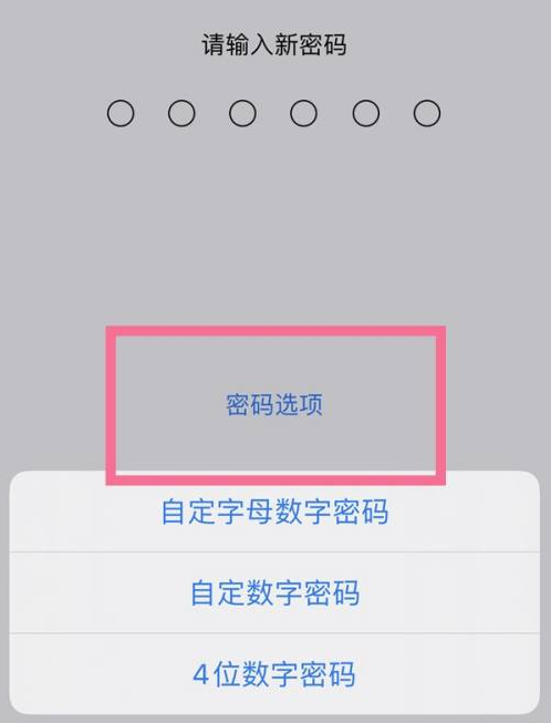 秀英苹果14维修分享iPhone 14plus设置密码的方法 