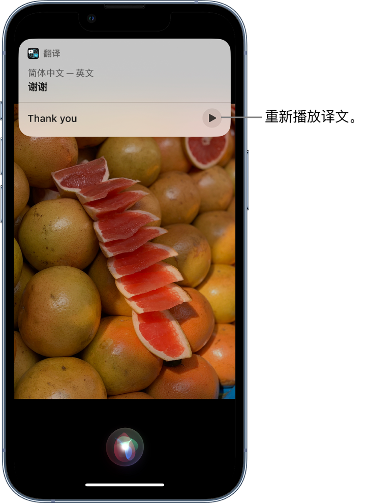 秀英苹果14维修分享 iPhone 14 机型中使用 Siri：了解 Siri 能帮你做什么 