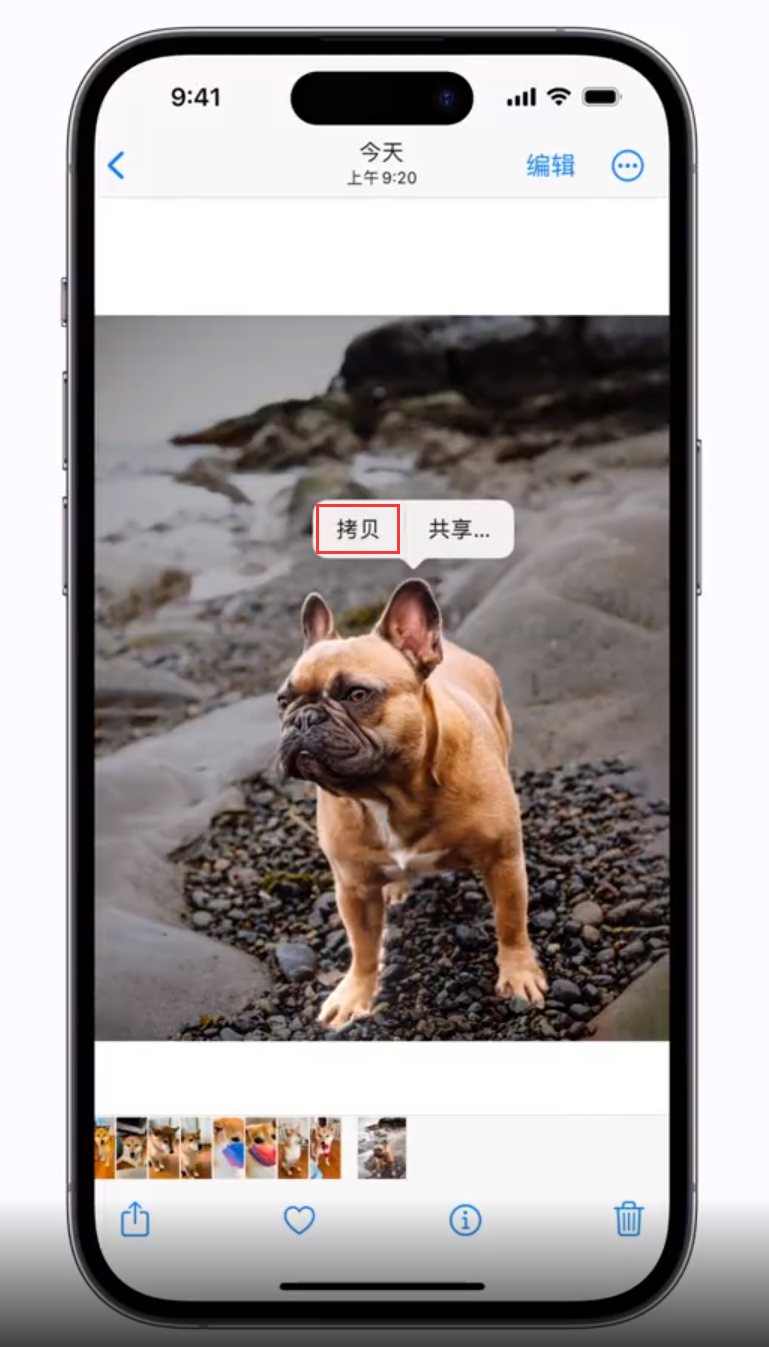秀英苹果手机维修分享 iOS 16 自带一键抠图功能 