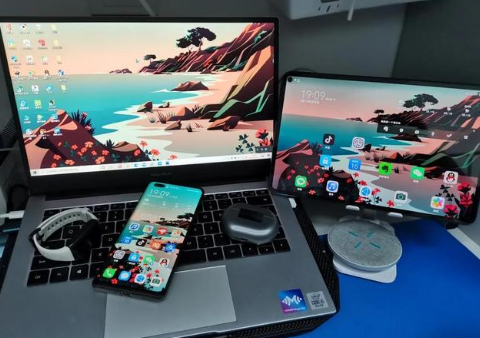 秀英苹果手机维修分享为什么iPad屏幕更大价格却比iPhone低 