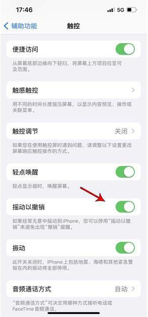 秀英苹果手机维修分享iPhone手机如何设置摇一摇删除文字 