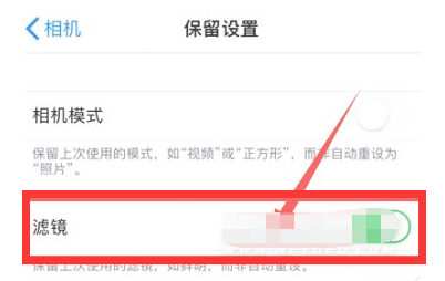 秀英苹果13维修分享iPhone13拍照有绿点是怎么回事 