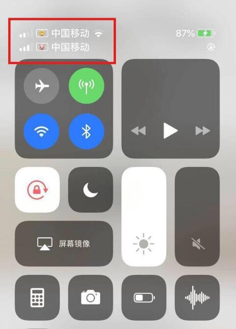 秀英苹果手机维修分享为 iPhone 12 双卡设置标签 