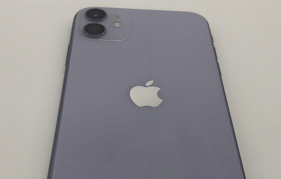 秀英苹果11系统维修分享iPhone11手机系统崩溃无法开机如何解决 